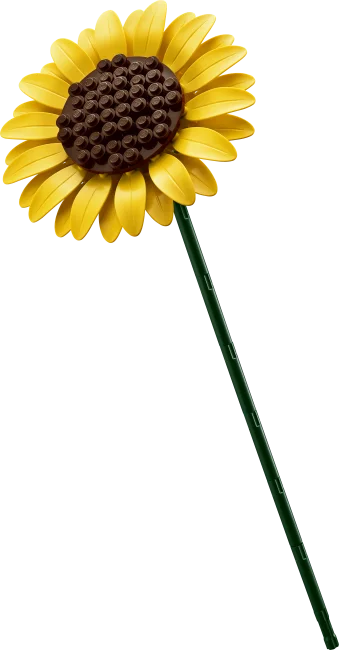 11502 Saulespuķu pušķis