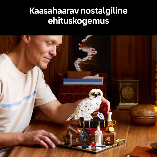 76466 Viisasten kivi – keräilyversio