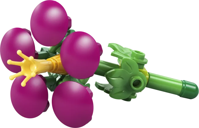 43293 Kakamora