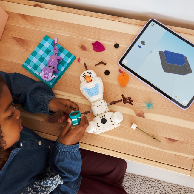 43287 Olafa un Bruni piknika jautrība