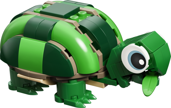 31377 Bruņurupucis ar ūdensrozes ziedu