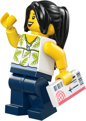 60502 Lidosta ar lidmašīnu