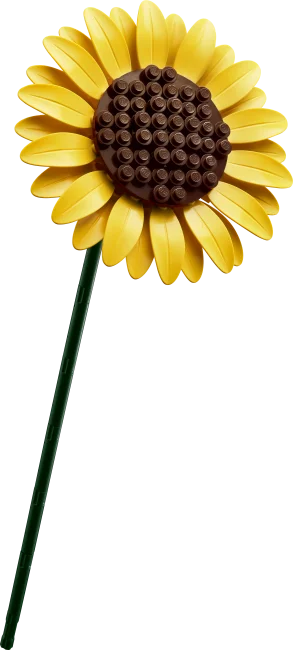 11502 Saulespuķu pušķis