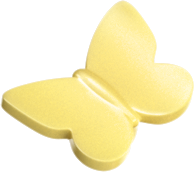 42688 Zirgu stallis un Izjāžu akadēmija