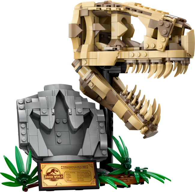76964 Dinosauruse fossiilid: T. rexi pealuu