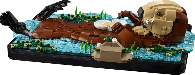 21366 Плавающие каланы