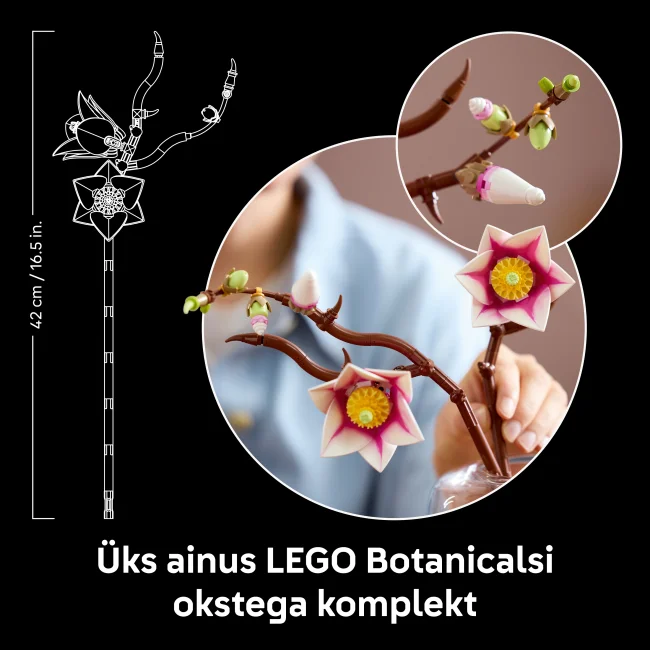 11510 Magnolian oksat