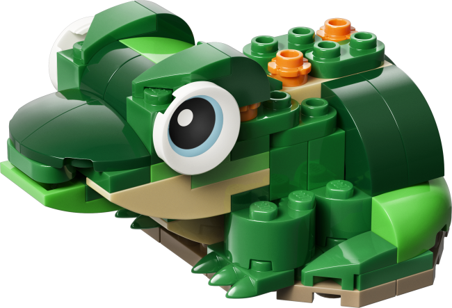 31377 Bruņurupucis ar ūdensrozes ziedu