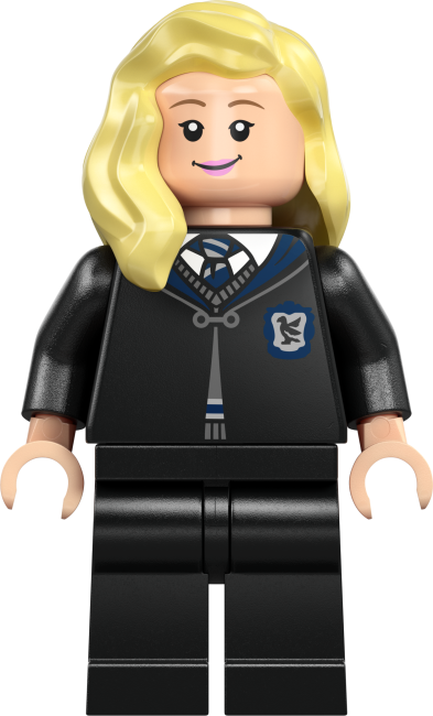 76463 Tylypahkan linna: Sairaalasiipi