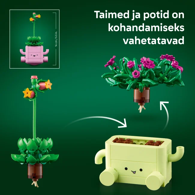 11506 Keinuvat kasvit