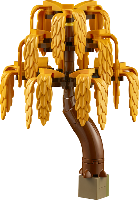 11372 Rudens kotedžas dārzs