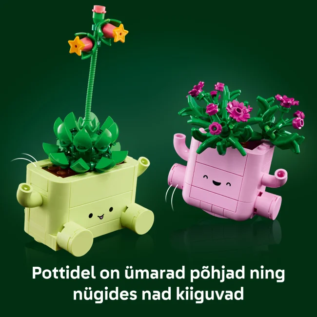 11506 Keinuvat kasvit