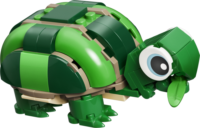 31377 Bruņurupucis ar ūdensrozes ziedu