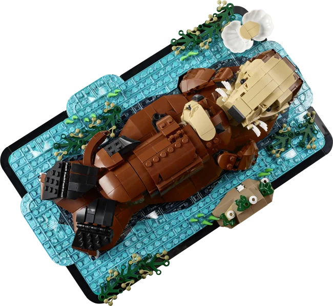 21366 Плавающие каланы