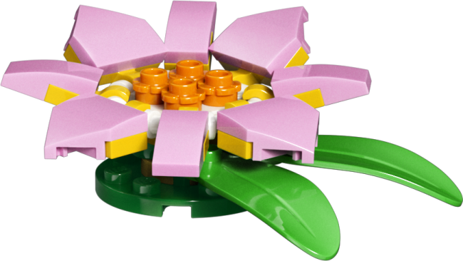 31377 Bruņurupucis ar ūdensrozes ziedu