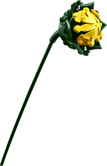 11502 Saulespuķu pušķis