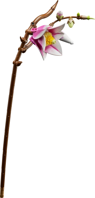 11510 Magnolian oksat