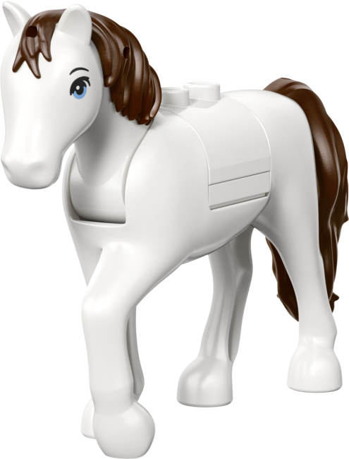 42696 Dzīvnieku veterinārā klīnika