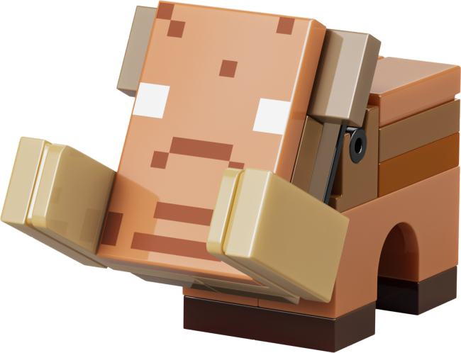 21584 Nether un End portālu ceļojums