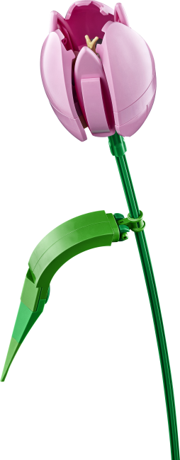 11501 Букет тюльпанов