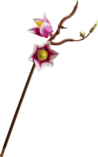 11510 Magnolian oksat