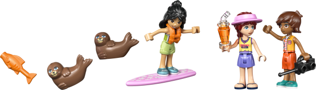 42699 Pludmales māja ar roņiem