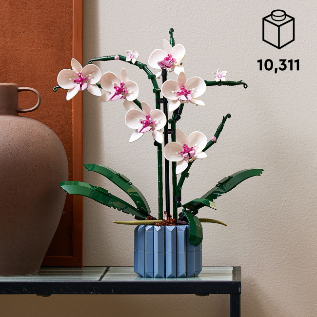 10311 Orhidee