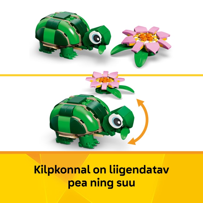 31377 Bruņurupucis ar ūdensrozes ziedu