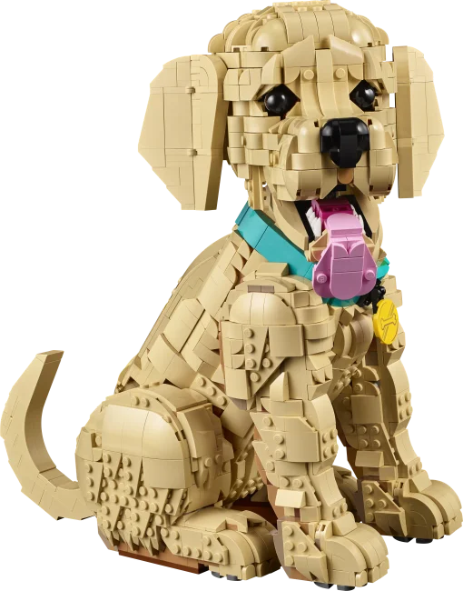 11384 Zelta retrīvera kucēns