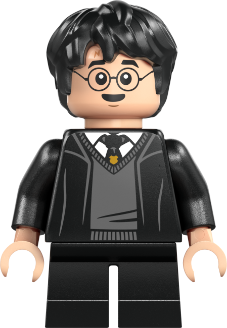 76460 Tylypahkan linna: Lajitteluhattuseremonia