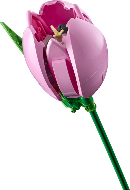 11501 Букет тюльпанов