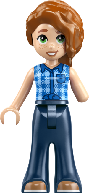 42689 Hārtleikas pilsētas draugu klubiņa māja