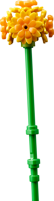 10347 Mazā saulainā buķete
