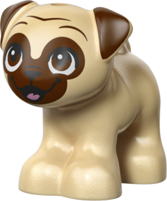 42696 Dzīvnieku veterinārā klīnika