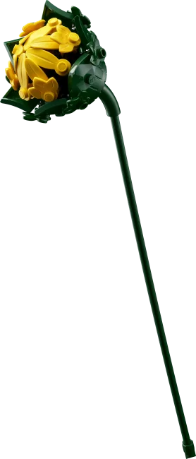 11502 Saulespuķu pušķis