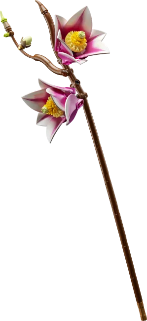 11510 Magnolian oksat