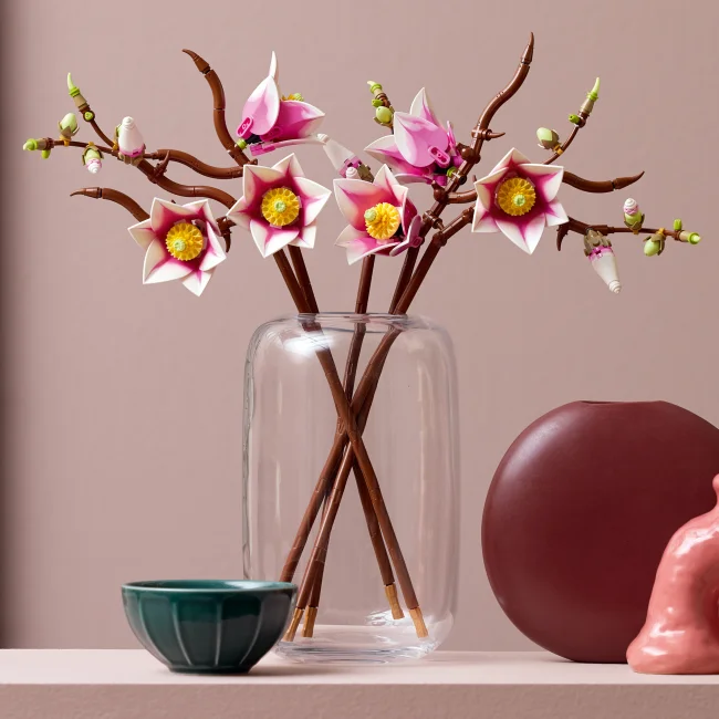 11510 Magnolian oksat