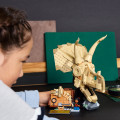 76969 LEGO Jurassic World Dinosaurusfossiilit: Triceratopsin kallo