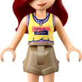 42642 LEGO  Friends Sõpruse filmiõhtu