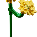 10347 LEGO Botanicals Mazā saulainā buķete