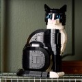 21349 LEGO  Ideas Frakkipukuinen kissa