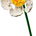 10347 LEGO Botanicals Mazā saulainā buķete