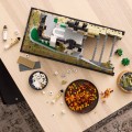 21063 LEGO  Architecture Neuschwansteini loss
