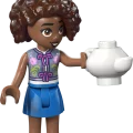 42690 LEGO  Friends Teekutsut metsässä
