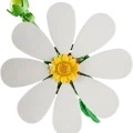 11514 LEGO Botanicals Kosmoskukat