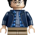 76475 LEGO Harry Potter TM Kielletty metsä: Odotum suojelius