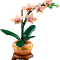 10343 LEGO Botanicals Mini orhideja