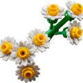 10347 LEGO Botanicals Mazā saulainā buķete