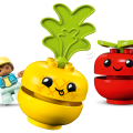 10982 LEGO DUPLO My First Трактор с овощами и фруктами