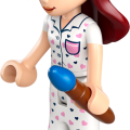 42647 LEGO  Friends Paisleyn huone